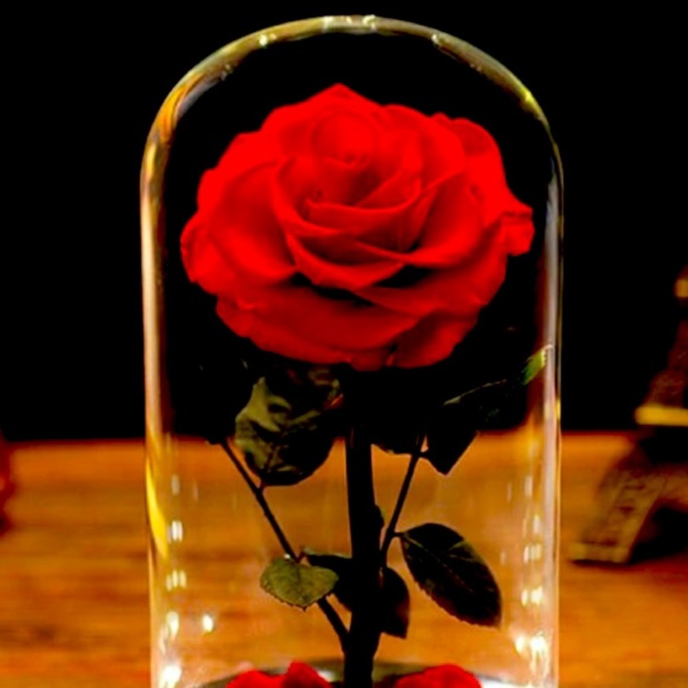 Princess Rose Dome​